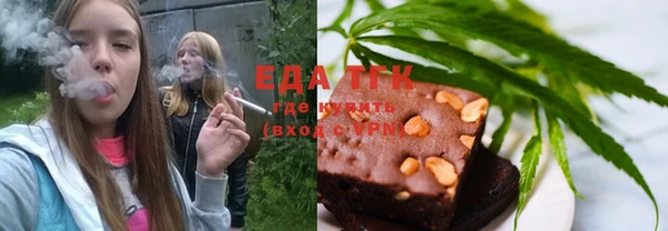 прущие грибы Елизово