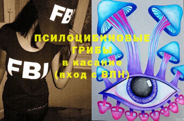 прущие грибы Елизово