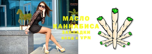 индика Заводоуковск