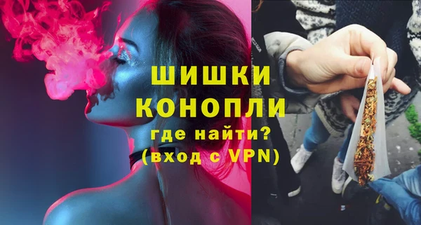 прущие грибы Елизово