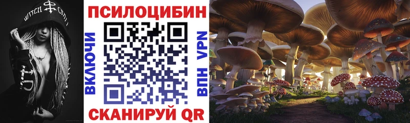 Галлюциногенные грибы GOLDEN TEACHER  Купить закладки  Шахты 